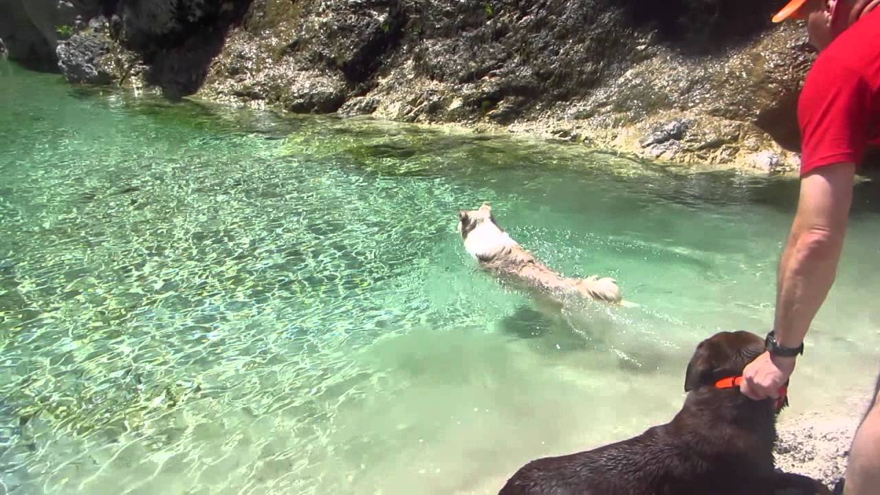 Hund am Berg- Alpenvereins Wanderung Rio Glagno, Stavoli, Mogessa di Qua