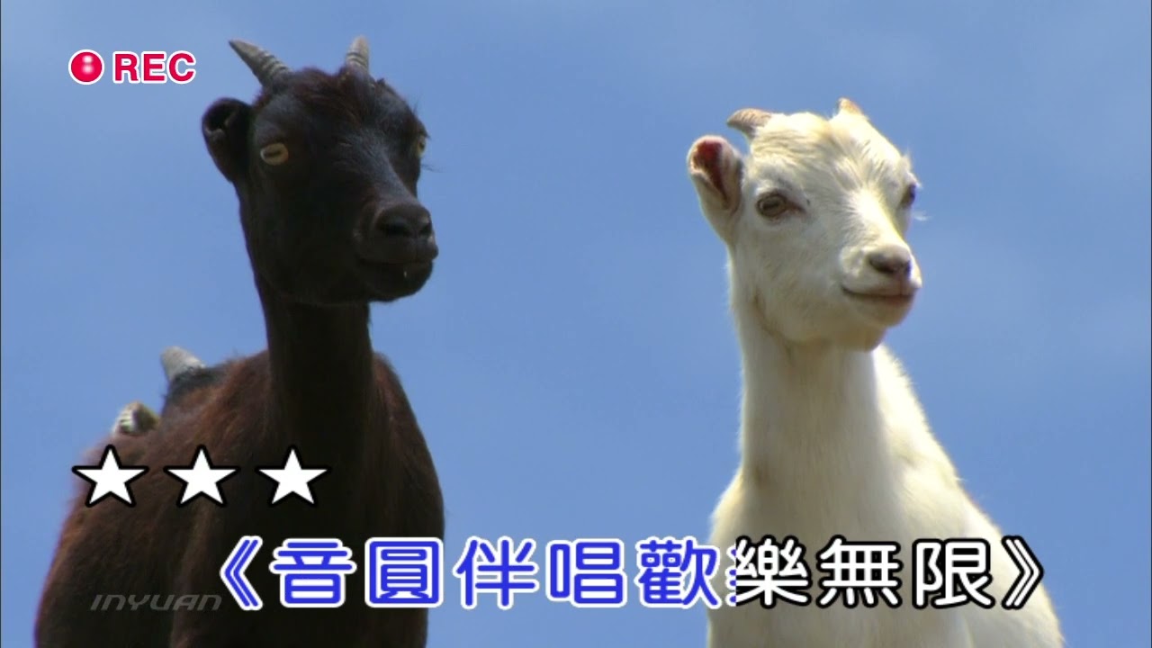 鬼迷心竅 卡啦OK伴唱