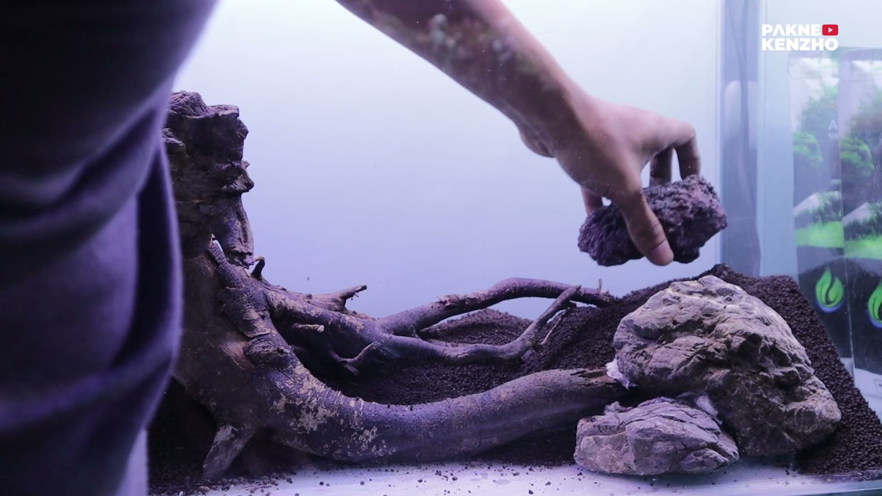 #275 Membuat Aquascape dengan kayu rambutan