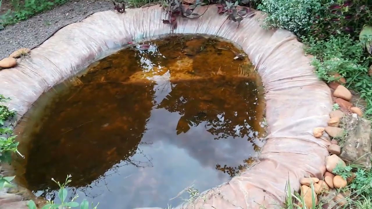 No jardim véspera de ano novo