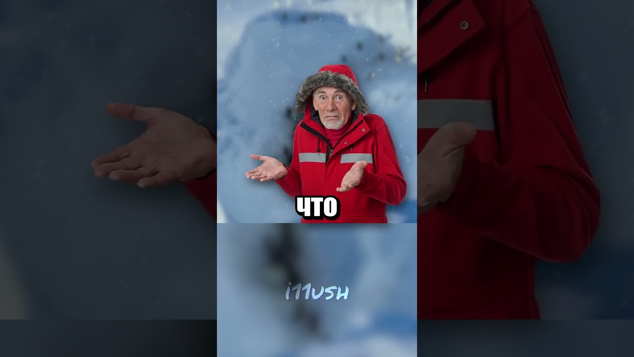 Могут ли операторы помогать диким животным?