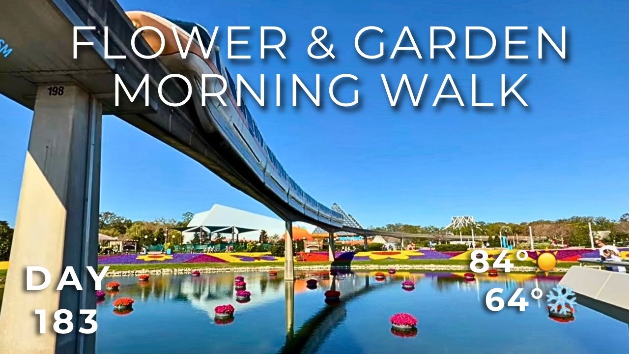 🔴 LIVE: EPCOT Flower & Garden Opening Day | BoardWalk Morning Walk | Day 183 | #TDWSS