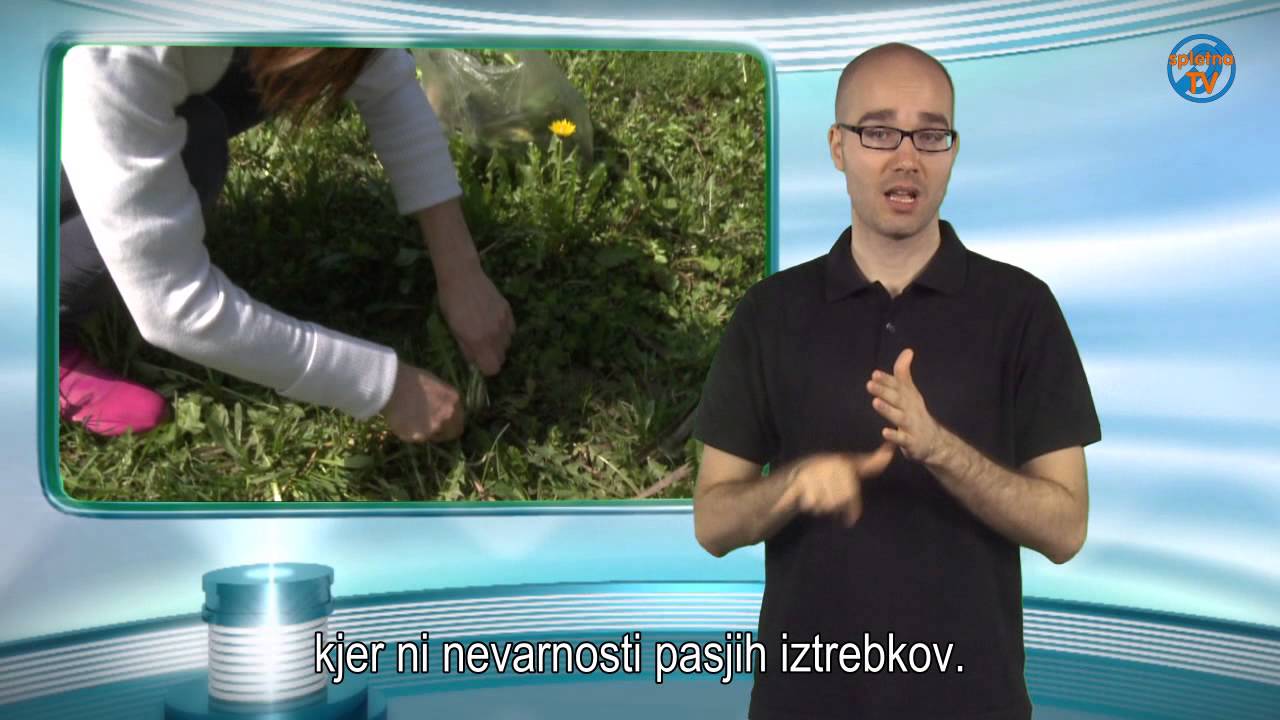 Regrat, okusen in zdrav