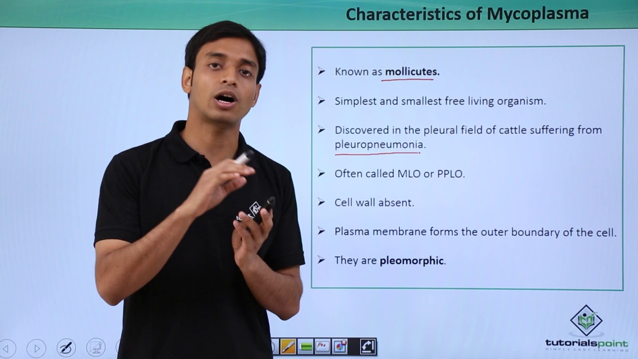 Class 11th – Mycoplasma – Characteristics | Biological Classification | Tutorials Point