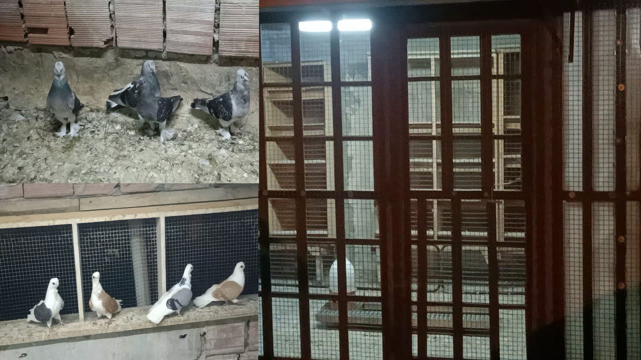 HERKESİN HAYALİ BÖYLE KÜMESLER BU KÜMESLERDE YOK YOK