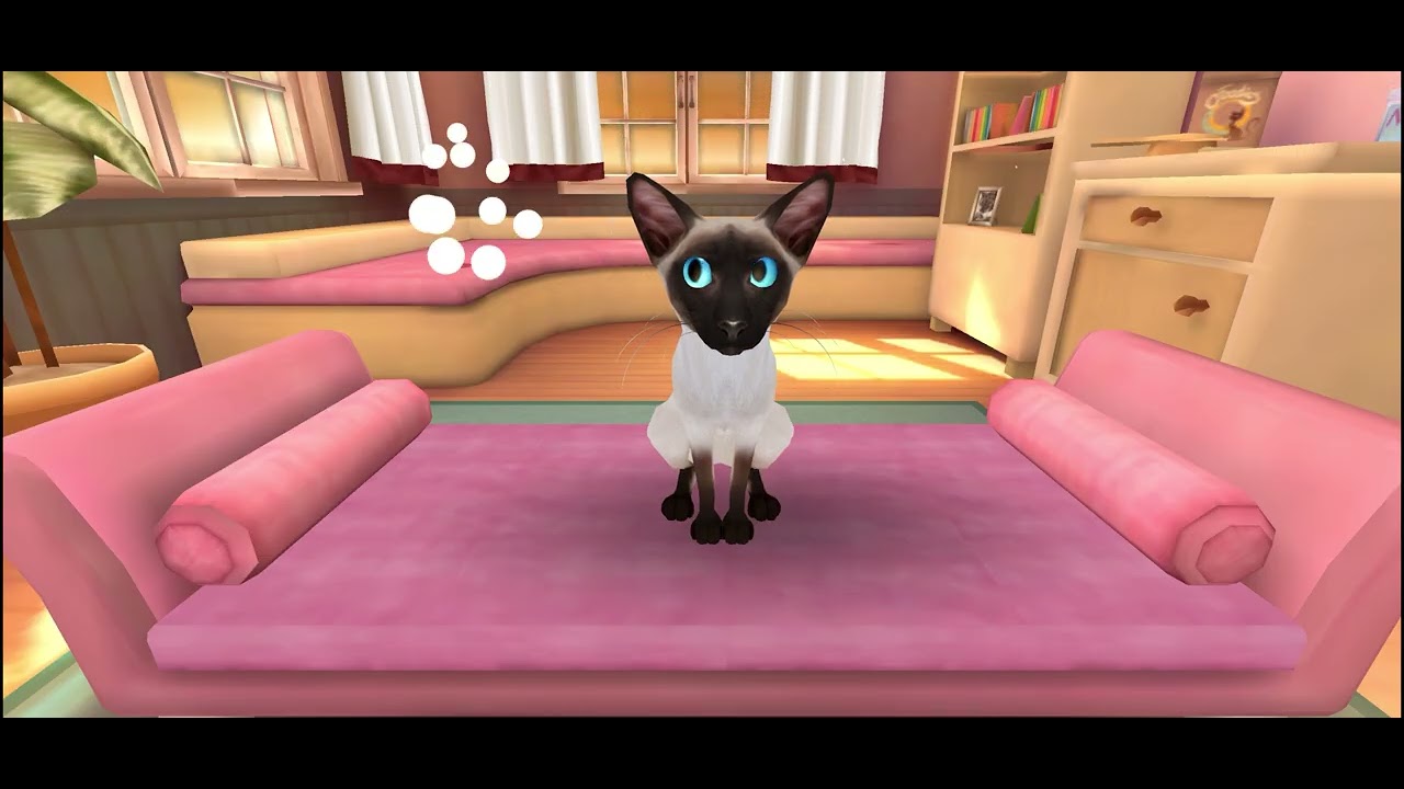 Day In The Life As A Cat Hotel Manager Episode 1