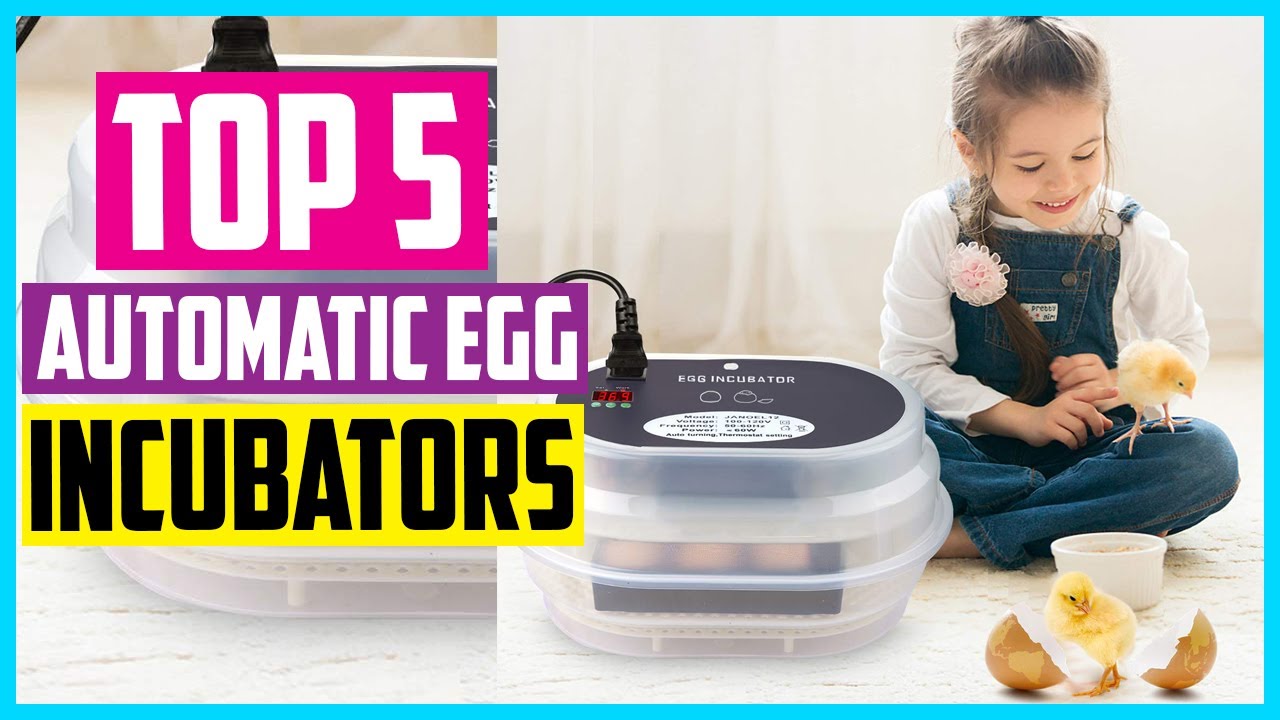 Top 5 Best Automatic Egg Incubators In 2025 &ndash; Reviews and Buying Guide