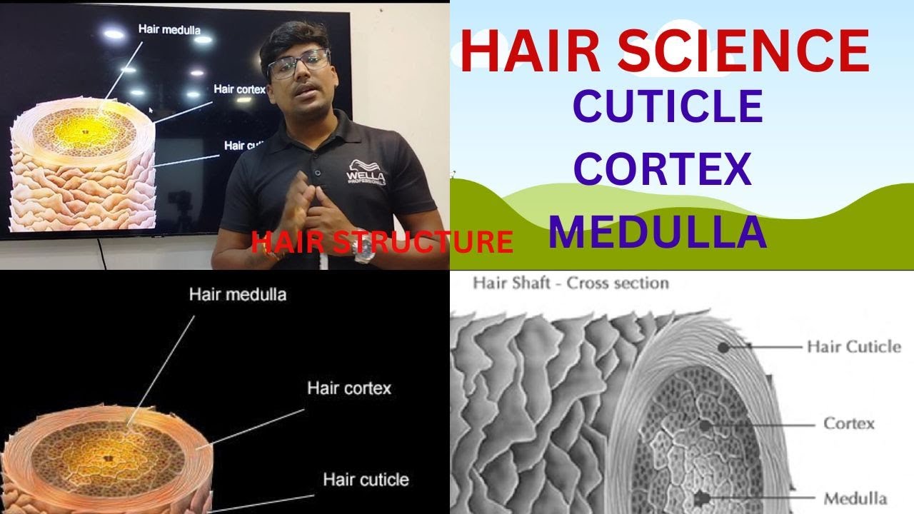 HAIR SCIENCE / CUTICLE /CORTEX /MEDULLA / HAIR STRUCTURE /step by step in tamil