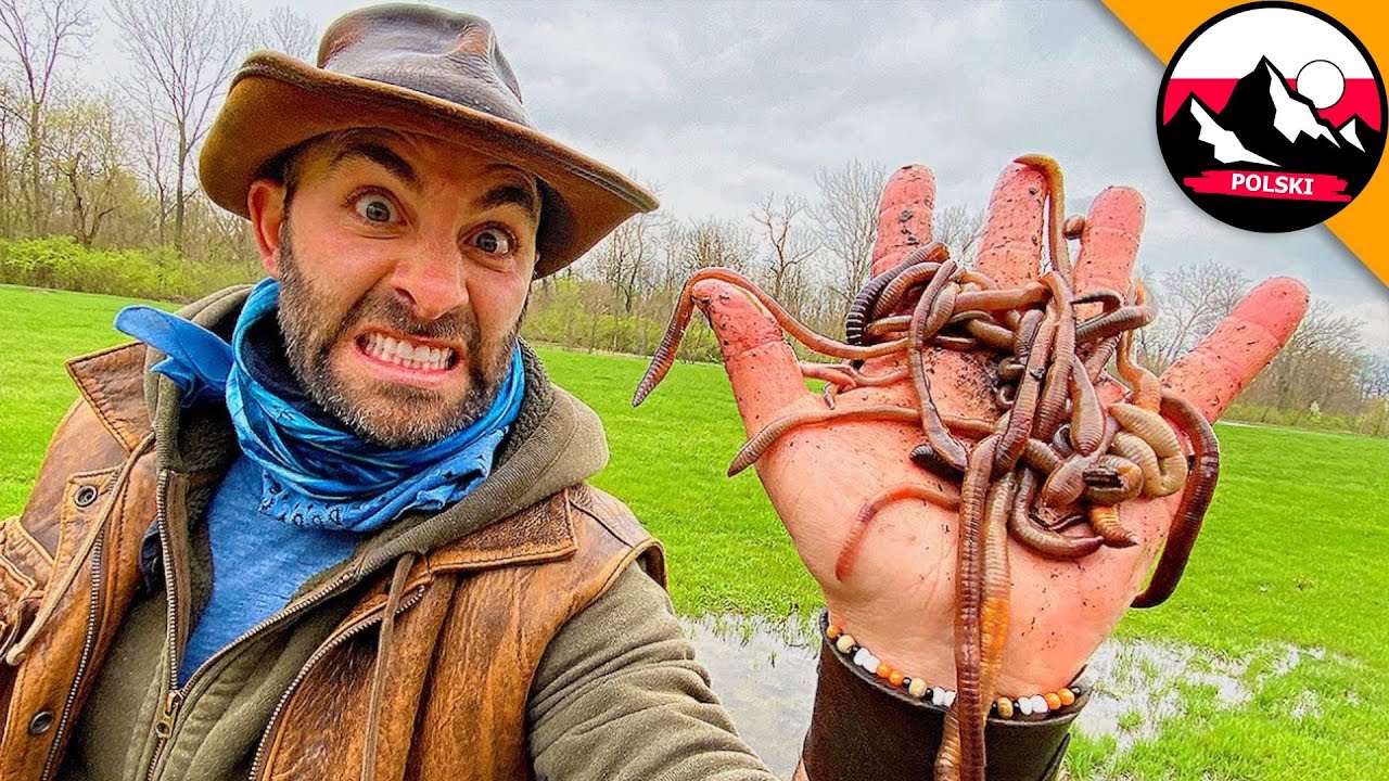 MAM DŻDŻOWNICE 😮 Jak Zbudować Własną Farmę? Brave Wilderness Polski