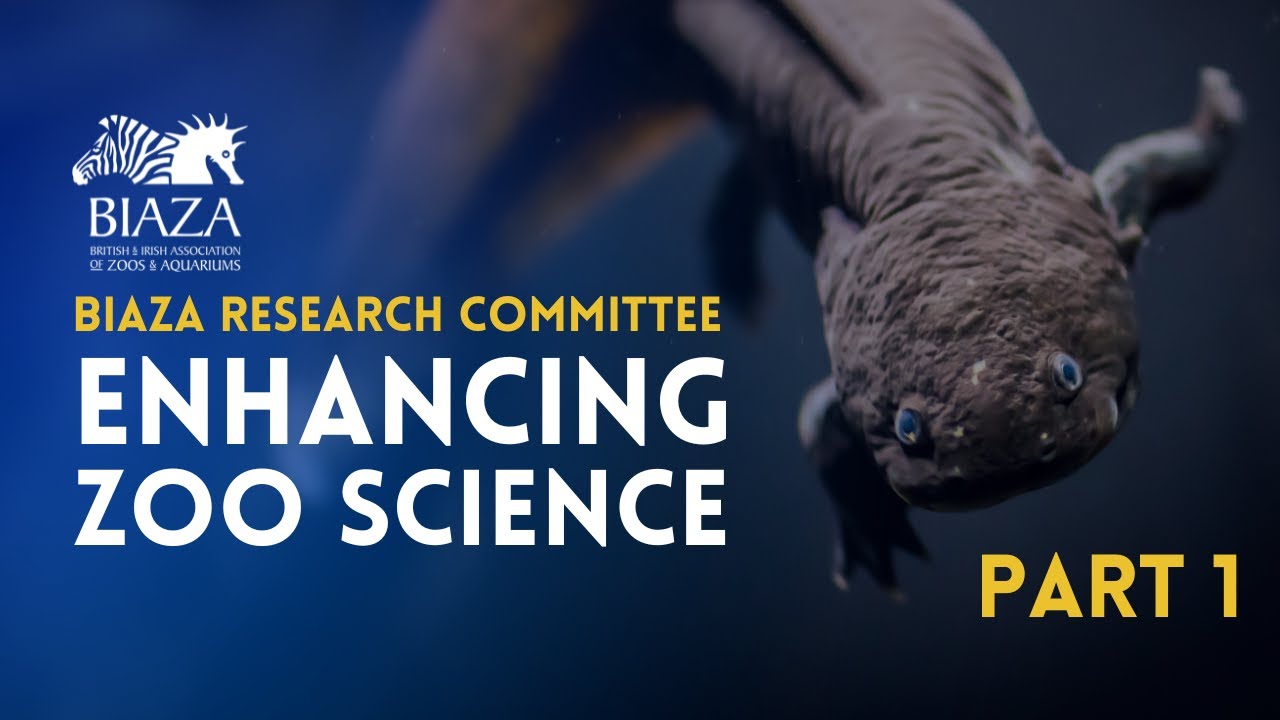 Enhancing the image of zoo science | Part 1 | BIAZA Research Committee