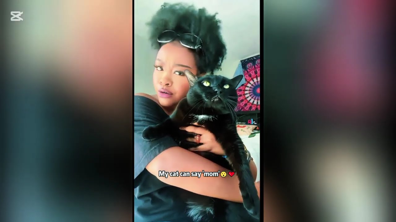 TRY NOT TO LAUGH 😂🤣 2026 FUNNIEST CATS 🙀 COPY THEIR OWNERS AND ACT LIKE THEY RUN THE WHOLE HOUSE 🐾🔥