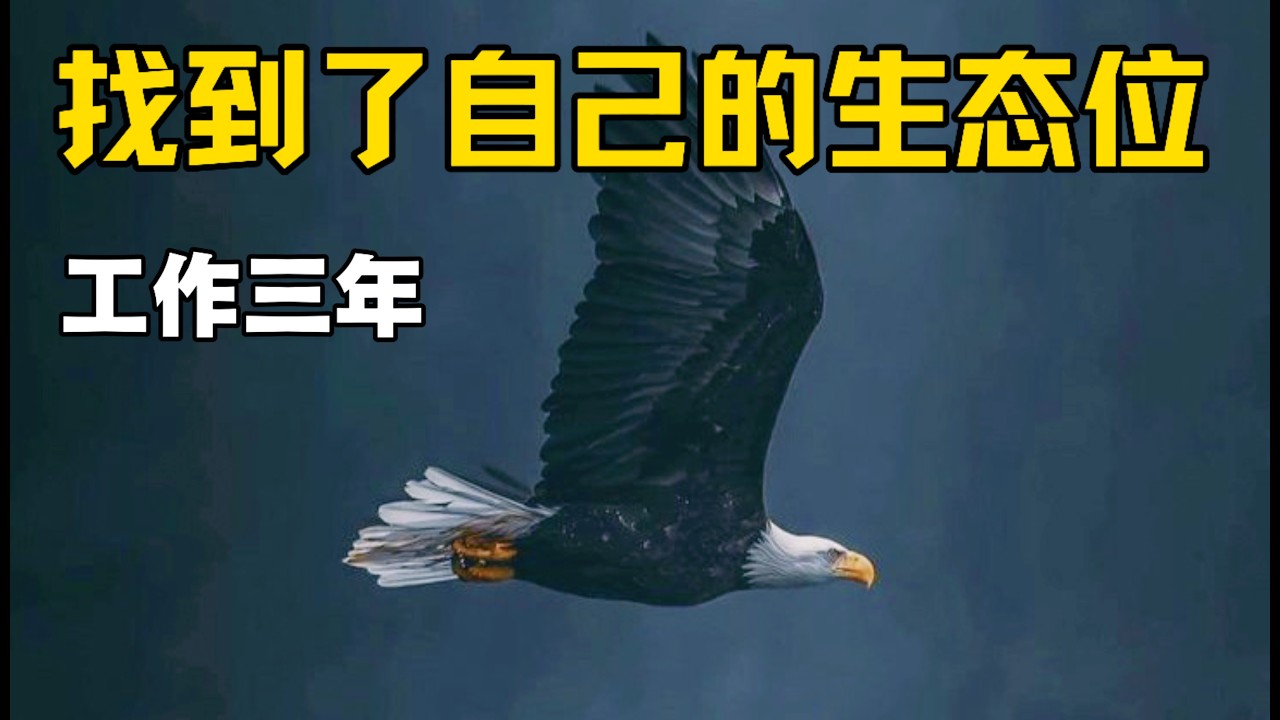 主动匹配：在Princeton第一份工作的三年里，我如何结构化观察并锁定职业节点？（从Industry到CPA Firm）