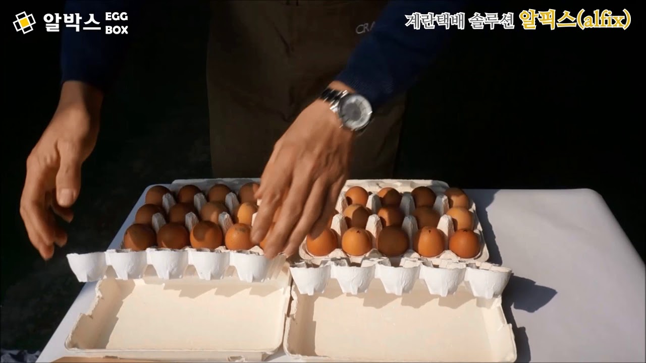 알픽스 계란 택배상자,택배박스- Alfix egg delivery box(egg parcel box)