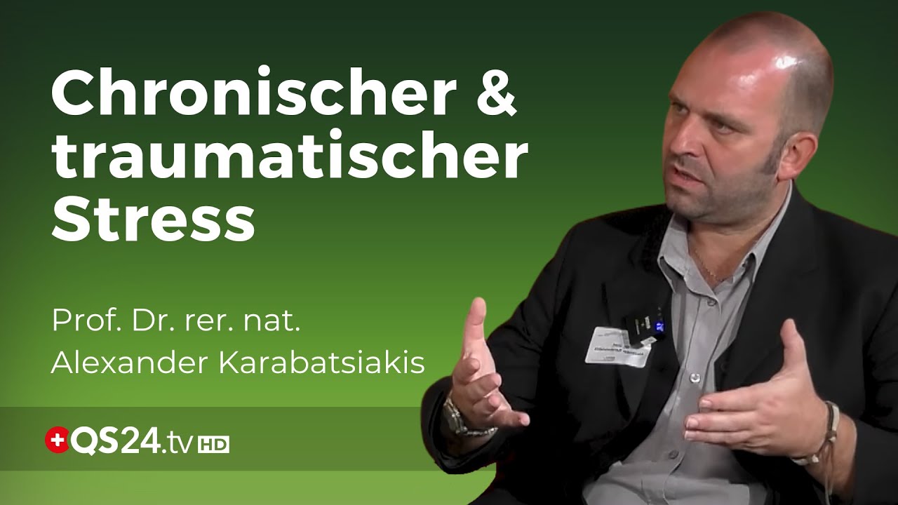 Mitochondrialer Leistungsabfall durch Stress | Prof. Dr. rer. nat. Alexander Karabatsiakis | QS24