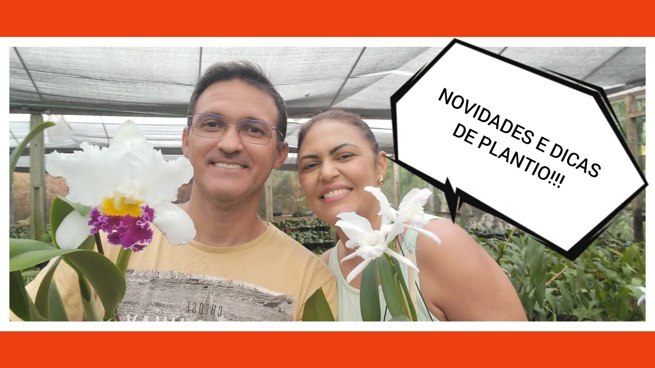 Orquidário Monte Negro - Novidades à venda e dicas de plantio