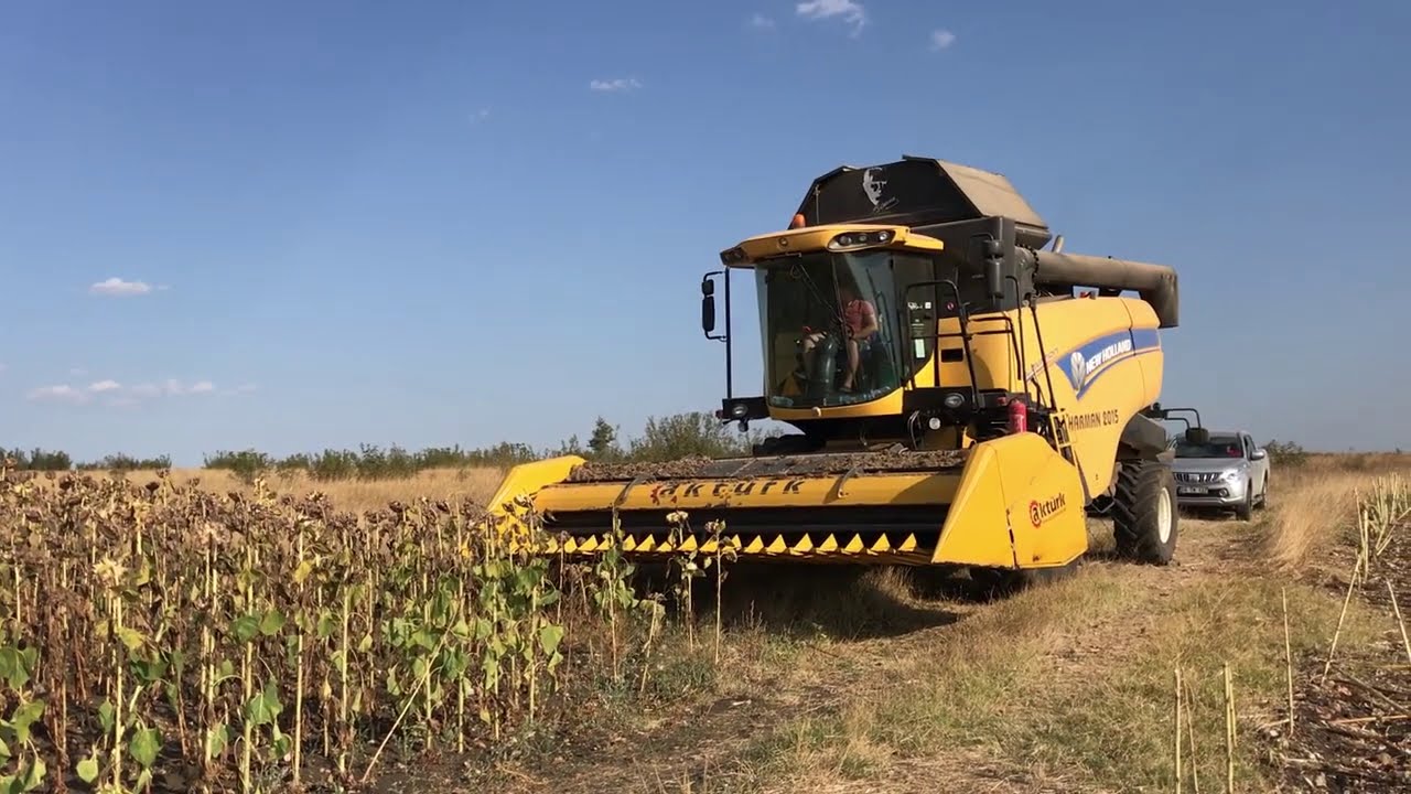 AYÇİÇEĞİ HASADI | NEW HOLLAND CX5090 + AKTÜRK ÇİÇEK TABLASI