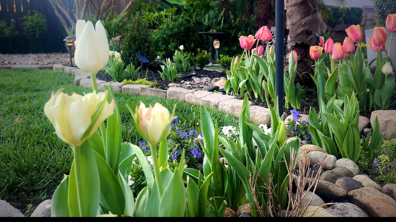 If You Love Gardens, Watch This 🌼 🌷 Spring Flowers Every Garden Lover Will Adore