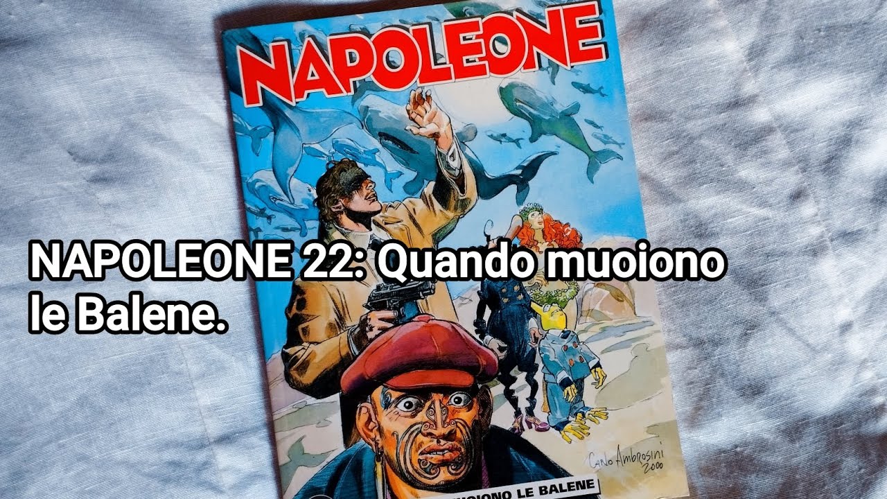 Napoleone 22: La tonnellata che a volte è più fragile di una piuma.
