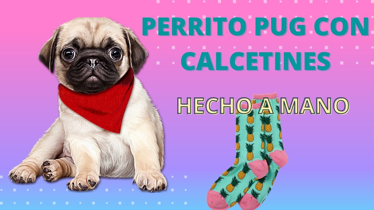 COMO HACER un PERRITO PUG con CALCETINES//COMO HACER un PUG en CASA.