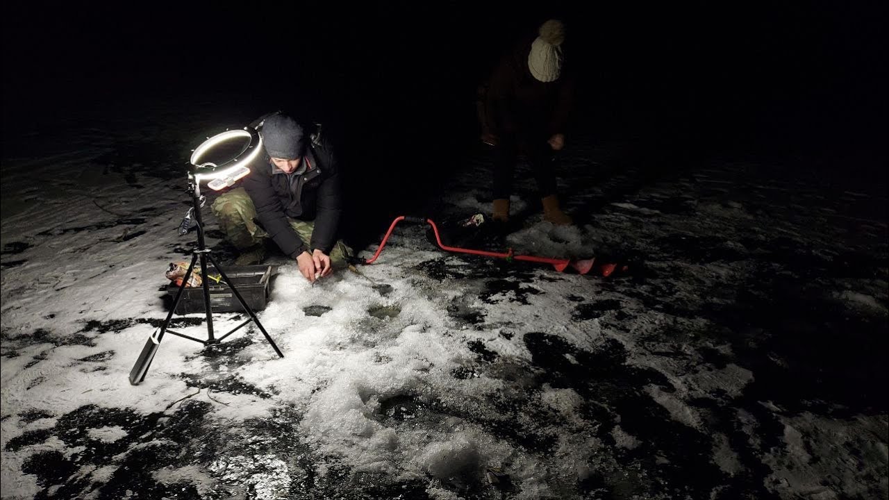 Live Winter Fishing with Bloodworms ❄️🐟 | Ice Fishing Tips, Big Bites & Real-Time Action