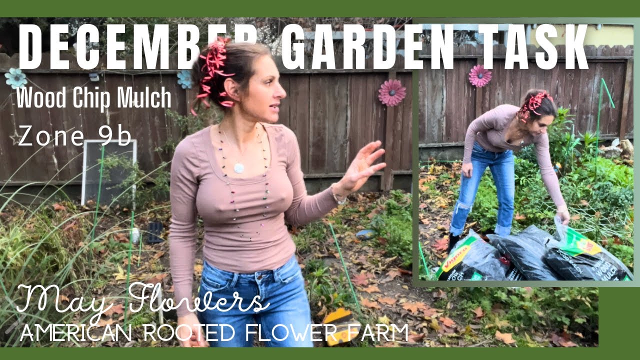 December Garden Task: WOOD CHIP MULCH #zone9bcutflowers
