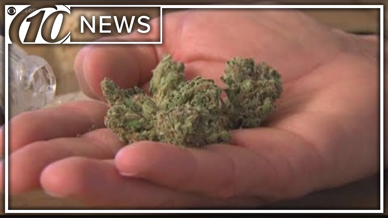 Oregon says it has too much marijuana, state takes steps to curb production