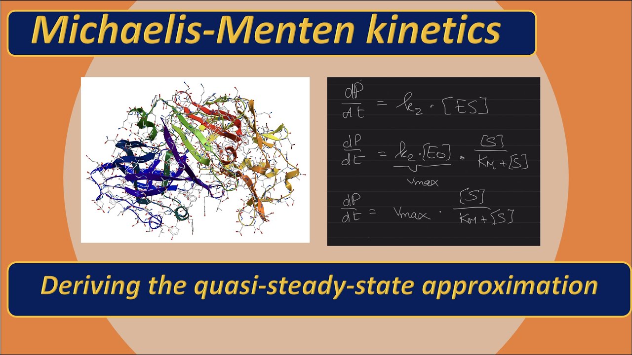 Michaelis Menten kinetics: the quasi steady state approximation
