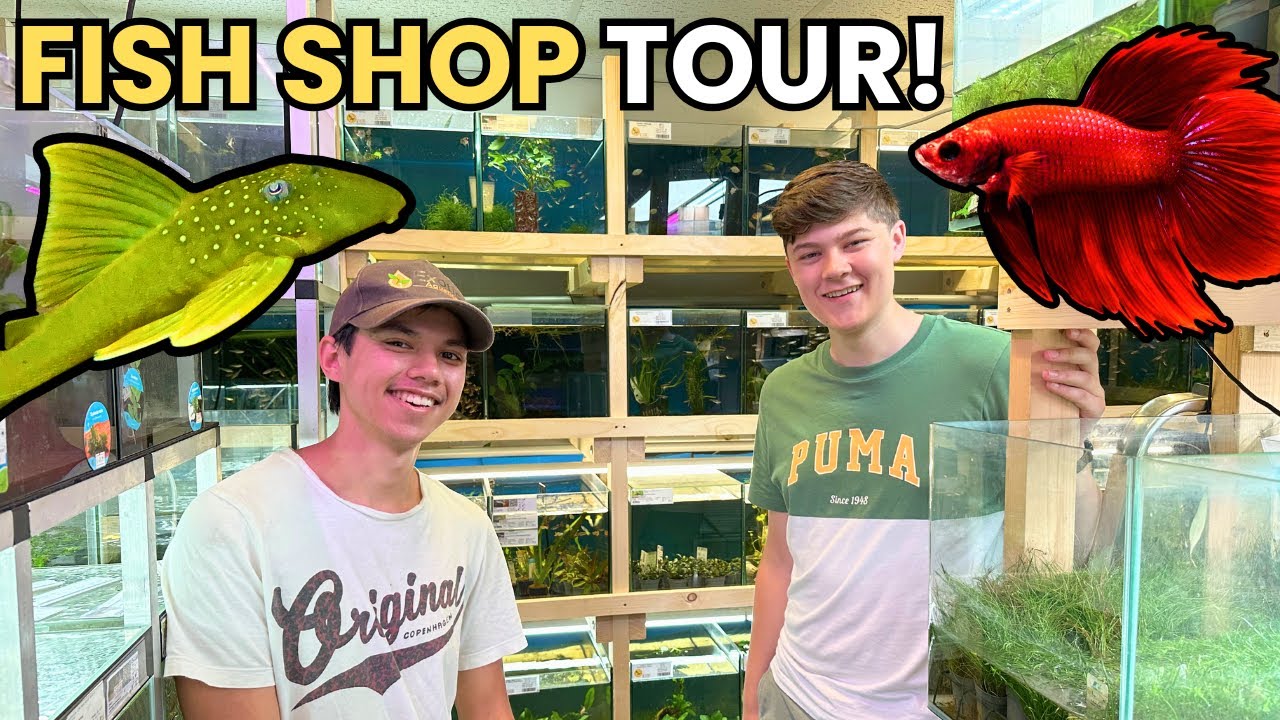 You've Gotta See This EPIC Fish Shop Run By A 22-Year-Old!