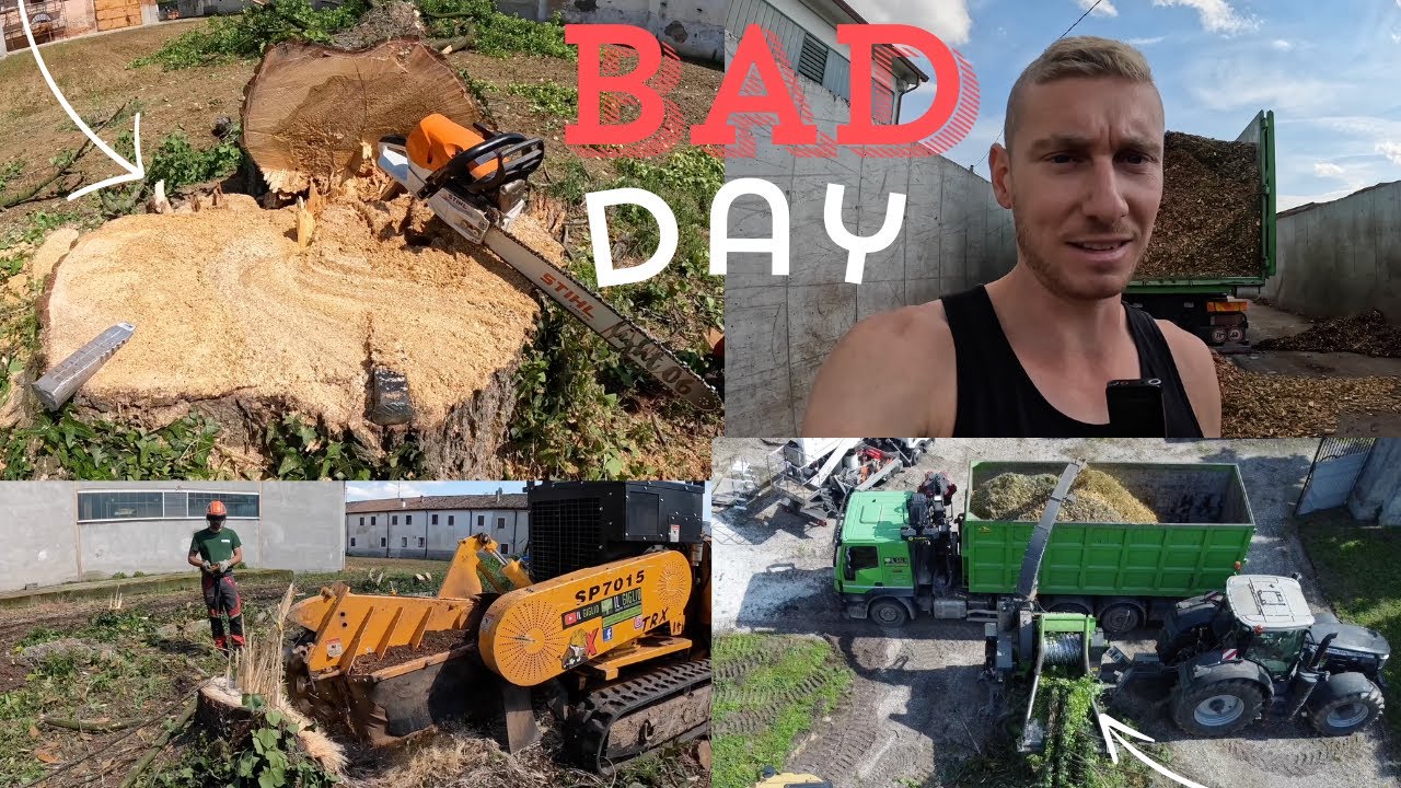 DISBOSCAMENTO BOSCHETTO, CIPPATURA E FRESATURA CEPPI / DESFORESTATION, CHIPPING, MILLING OF STUMPS