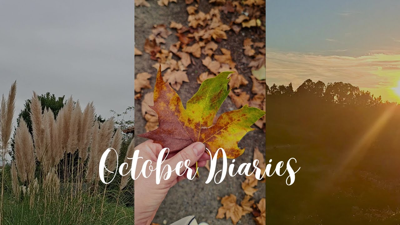 October Diaries EP. 1☕ | Dias de Outono: Trabalho, Casa & Cosy Vibes.