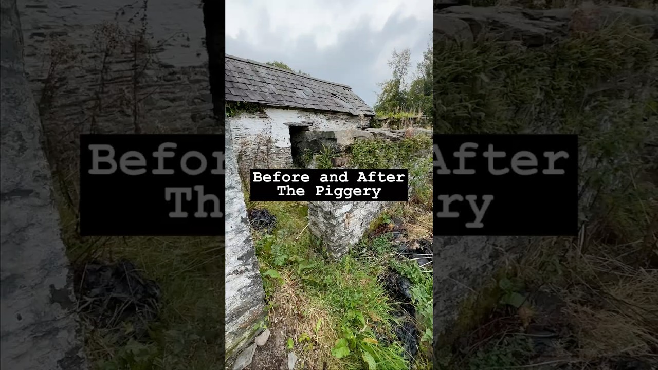 Before and After - The Piggery #renovation #abandoned  #smallholding  #cottage #homerenovation