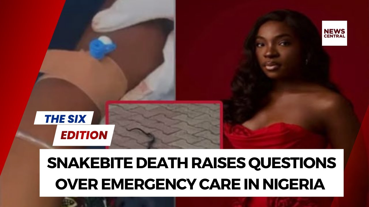 Snakebite Death Raises Questions Over Emergency Care in NIgeria
