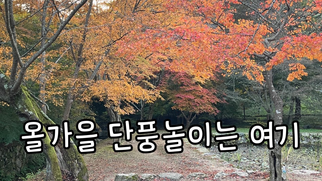 [Vlog] 시골 살지만, 시골로 단풍놀이 다녀왔어요:) | 국내여행, 부안 가을여행 단풍맛집