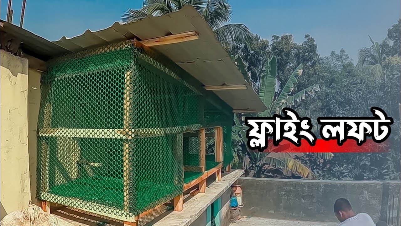 কম খরচে কবুতরের জন্য নতুন ঘর | New Pigeon Loft Set Up | Akash & Pets