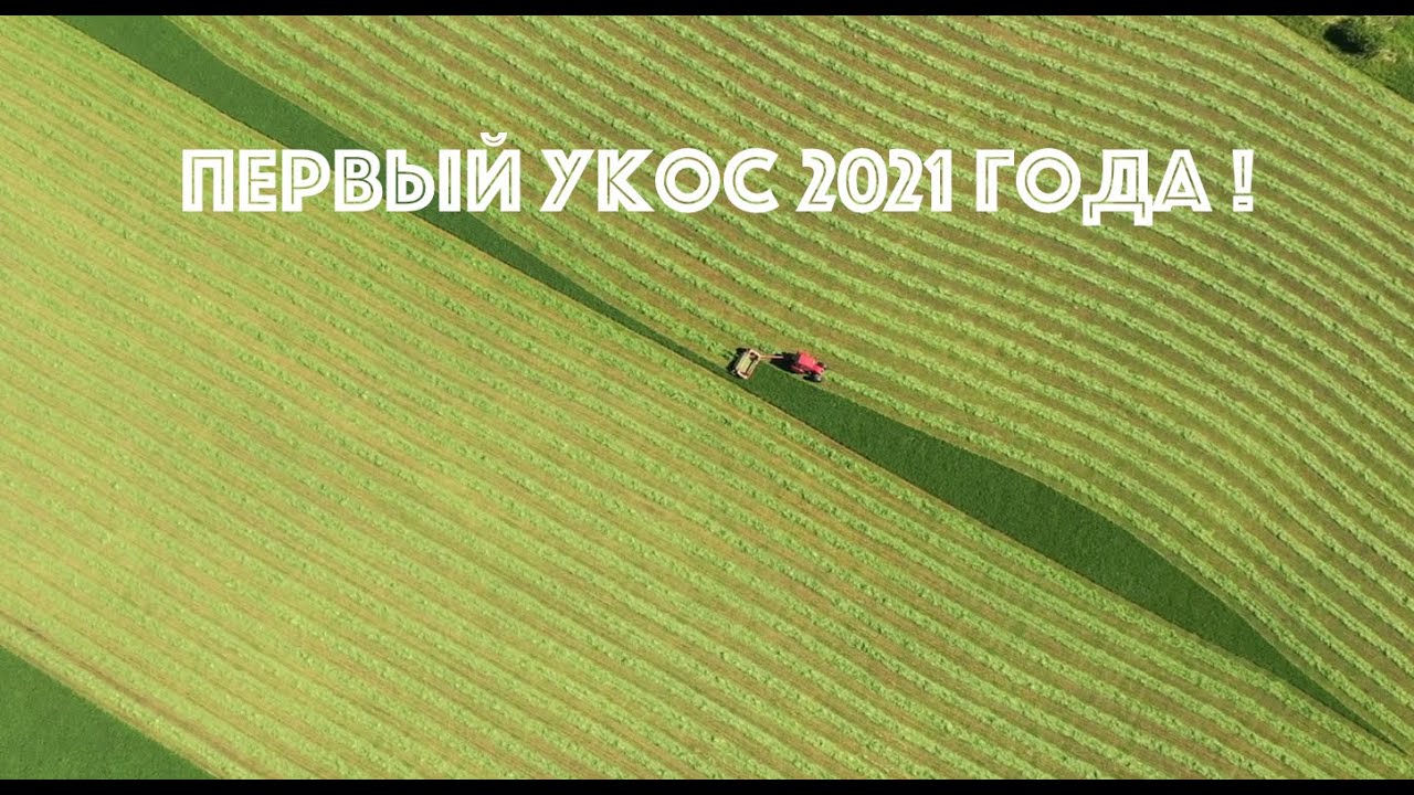 Косим многолетки раньше всех в районе!