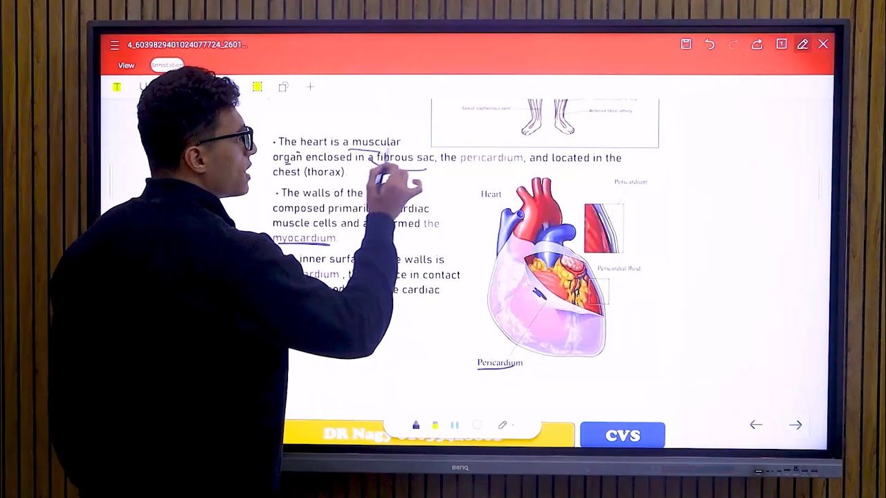 Lecture 1 / physiology 2 / PT / BUC