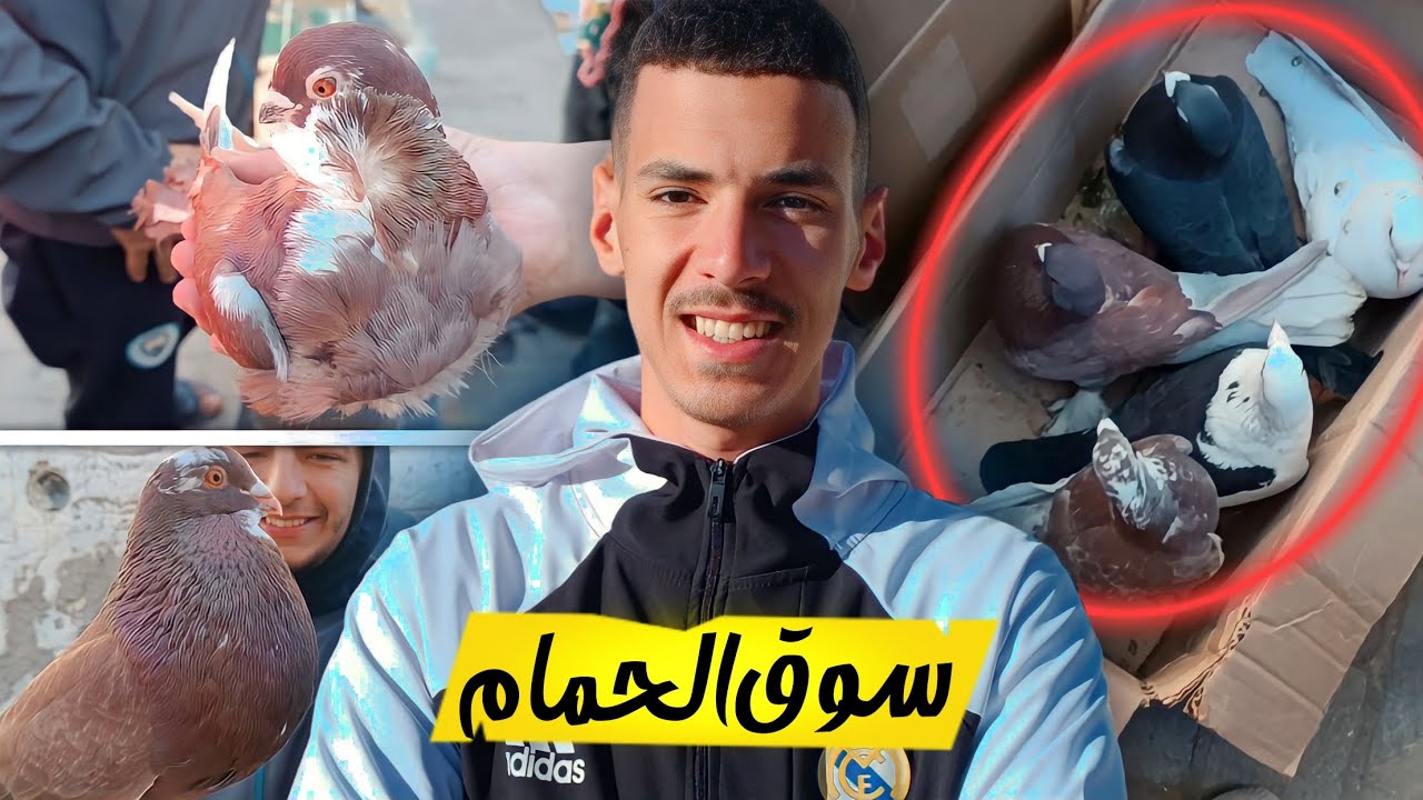 مشينا السوق و بعنا الحمام كاملين 💔😭 | وتولعنا ف الحمام جديد ✨🕊️