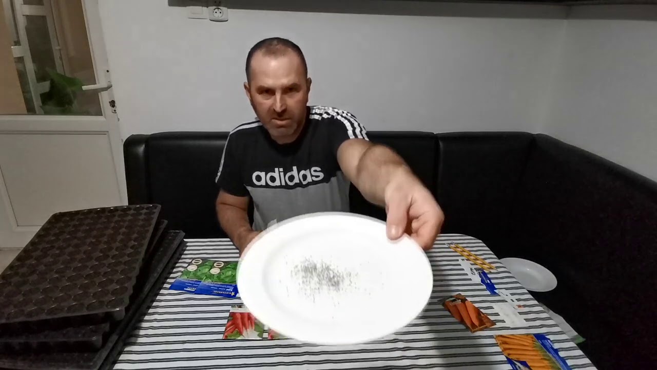 CUM FACEM RASAD DE SALATA MORCOVI SI PASTARNAC !