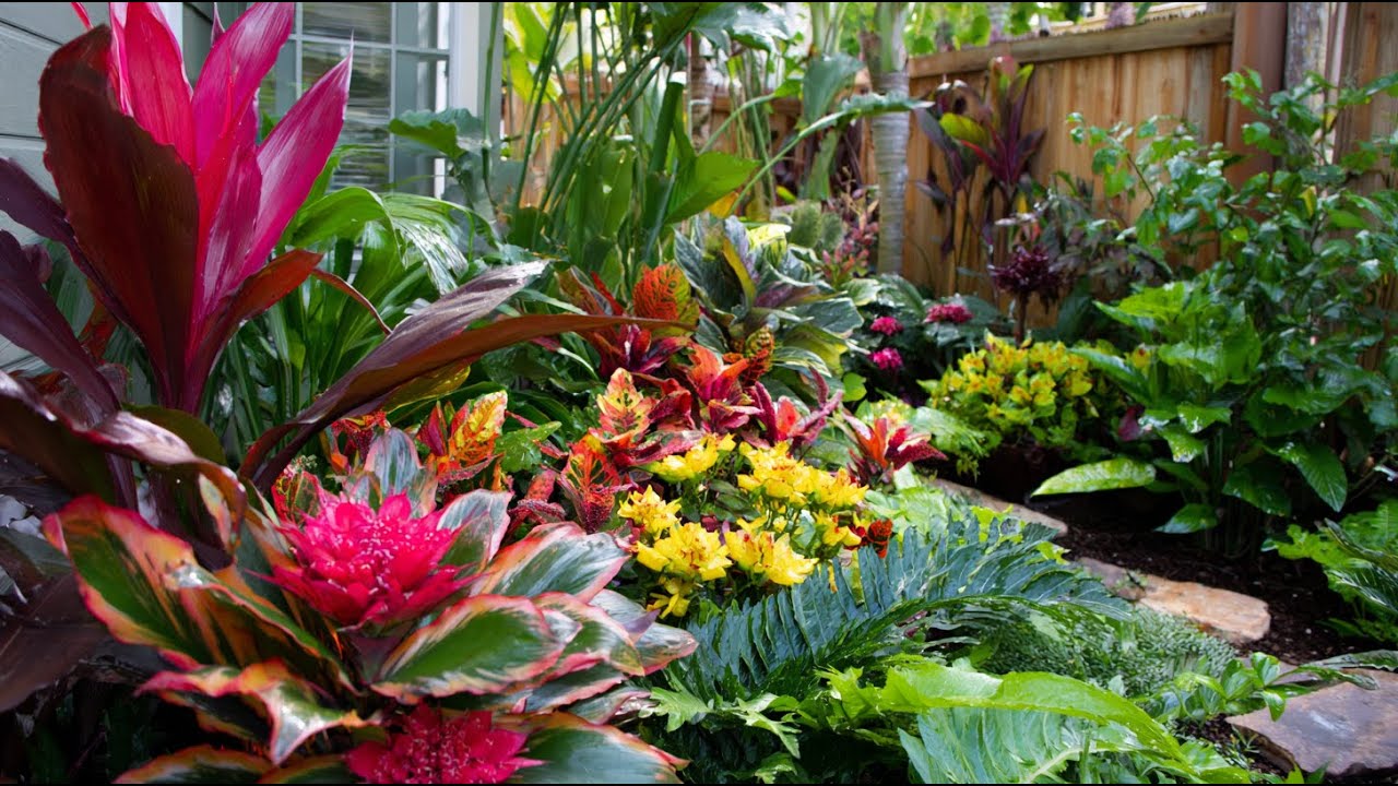 Idee per giardini tropicali che trasformeranno all'istante il tuo cortile in un paradiso lussureg...
