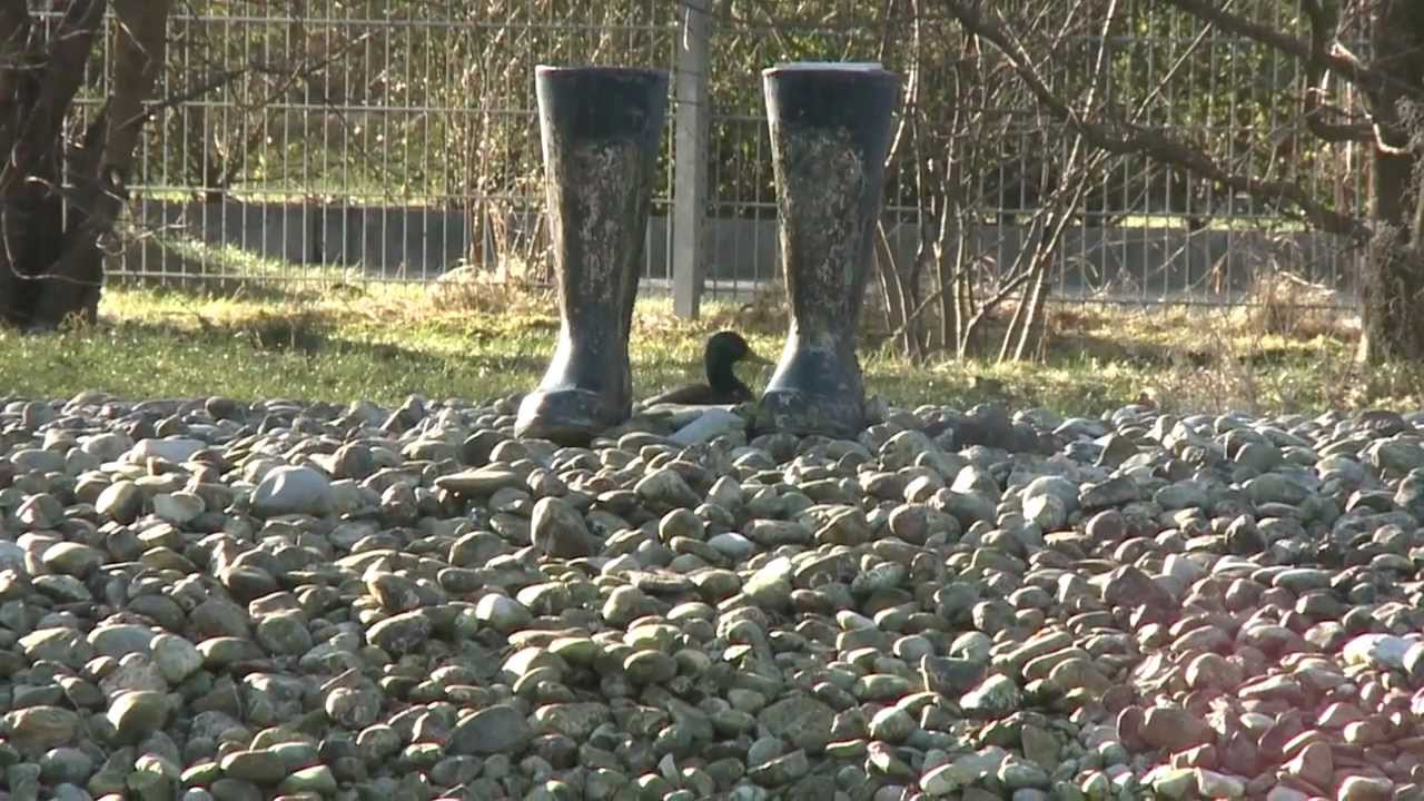 Mein M&uuml;nchen - Milbertshofen - Ein Stadtteil stellt sich vor