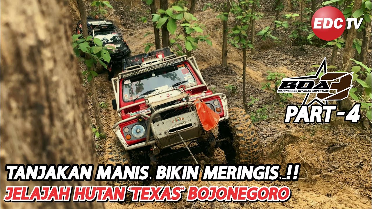 TANJAKAN MANIS, BIKIN MERINGIS !! JELAJAH HUTAN 