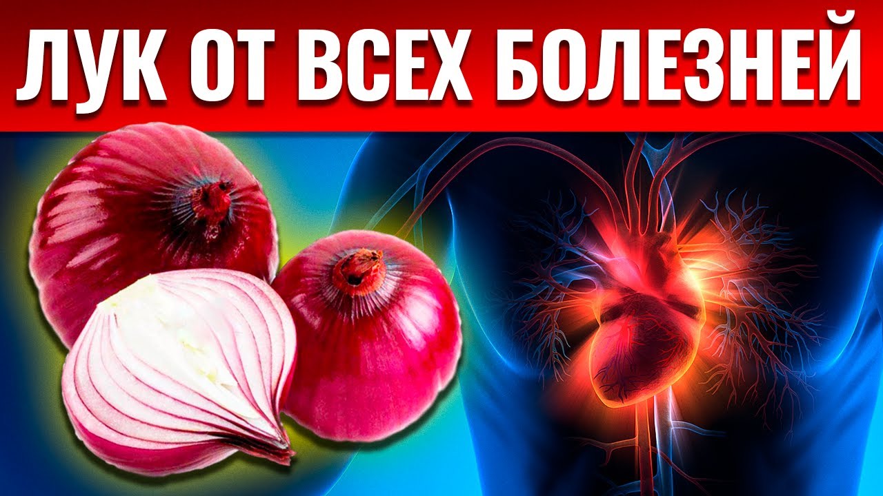 8 уникальных свойств ЛУКА🧅Вот что творит обычный ЛУК!!