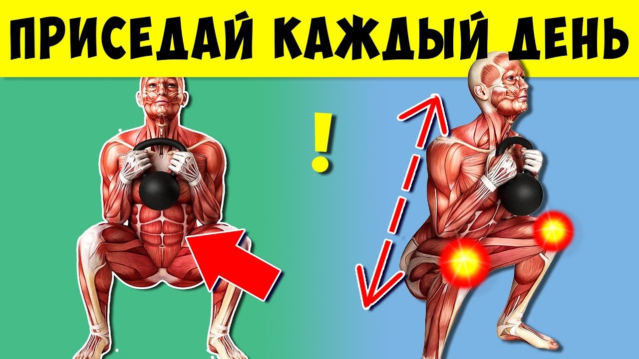 Вот, что будет с Вами, если Приседать каждый день