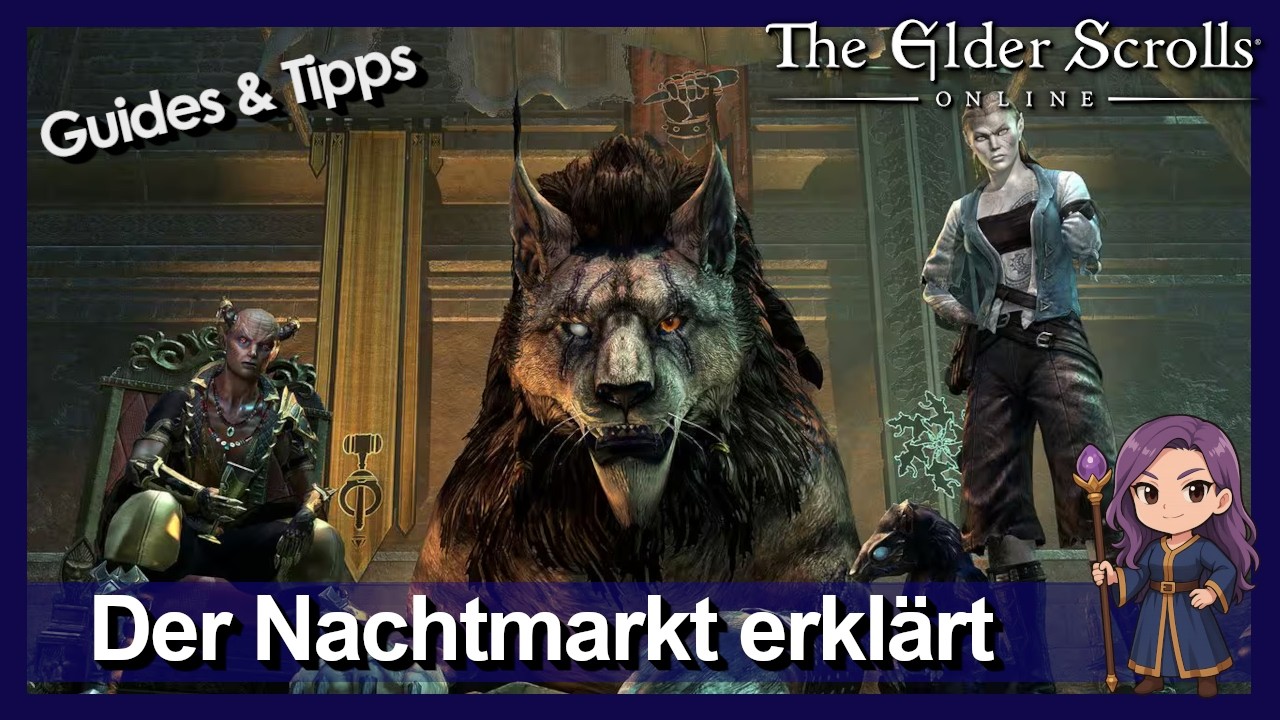 Teso: Nachtmarkt erkl&auml;rt | F&uuml;r wen lohnt sich das Event? [Meinung] [Deutsch]