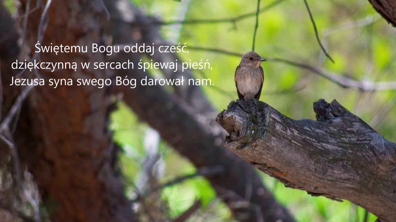 Świętemu Bogu oddaj cześć