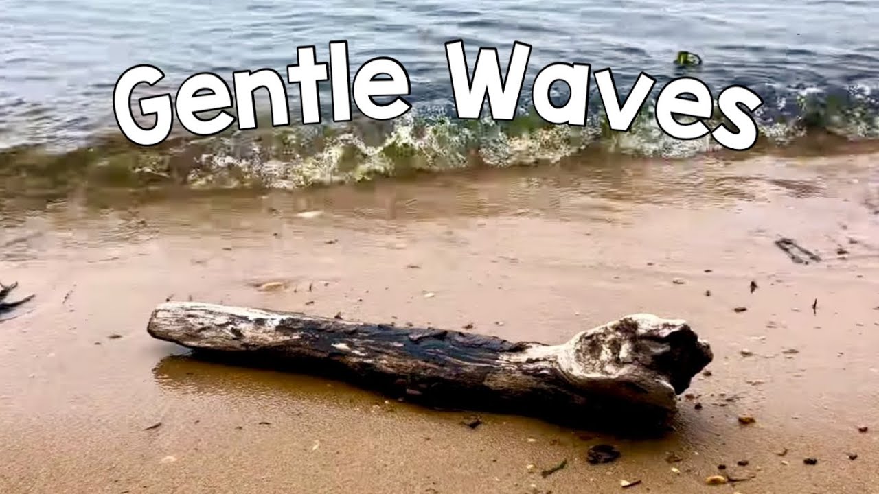 🌊Gentle Waves at the Bay | No Talking | Relaxing & Peaceful! ASMR