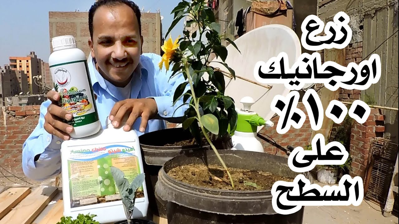 سماد عضوى طبيعي 100%   + شرح مبسط كيفية التسميد