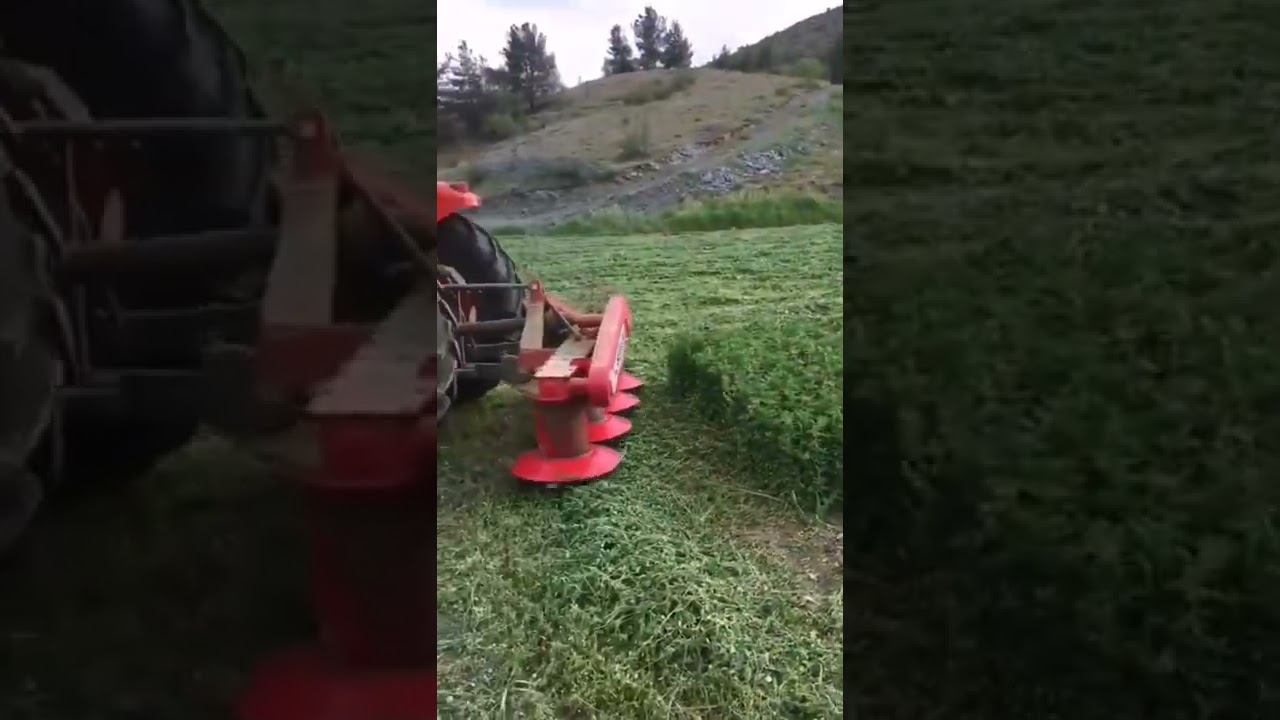yeni yonca Makinesi