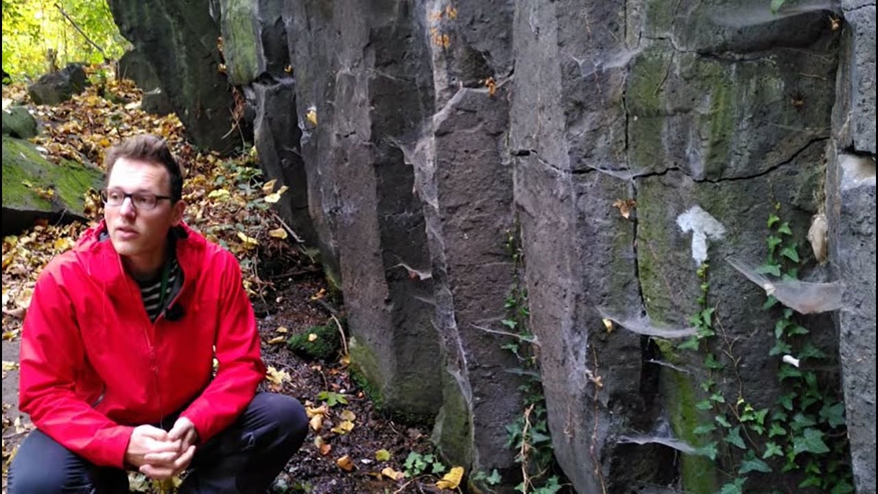 Geologische Brohltalexkursion
