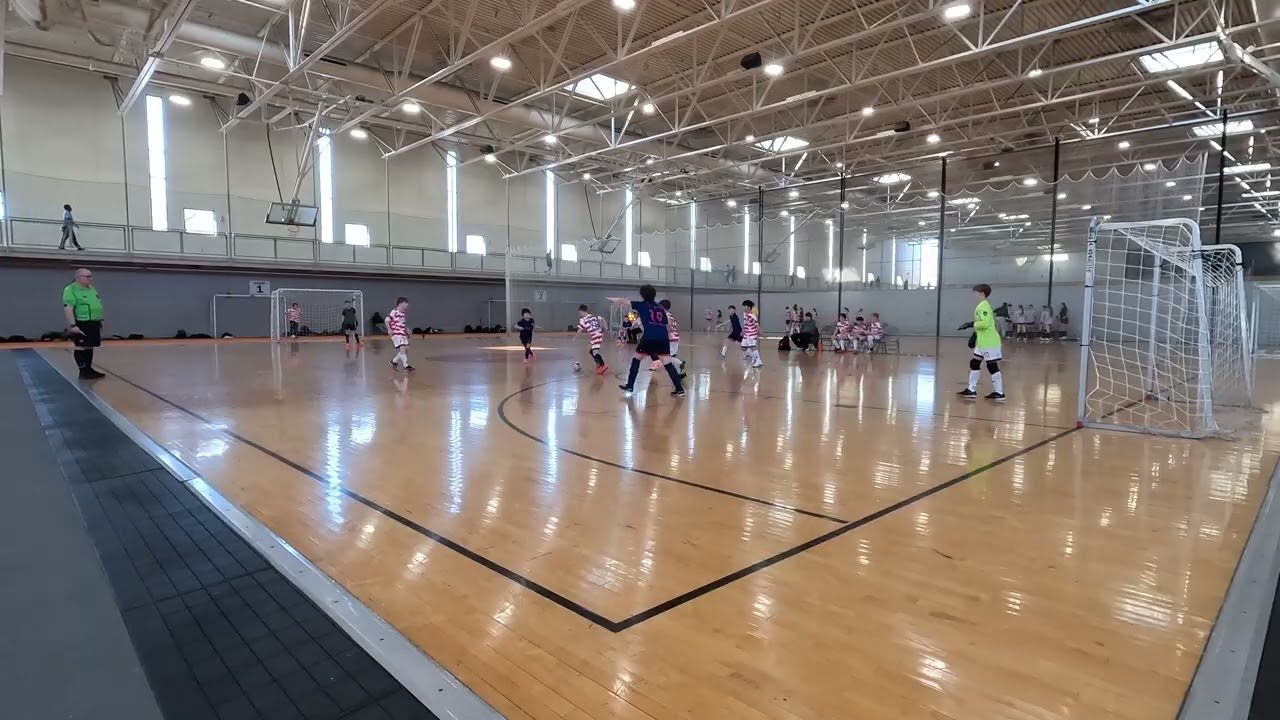 Joy vs Joy 4 2_8_2026